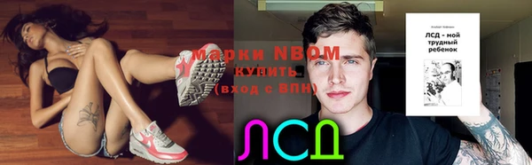 гидра Алексин