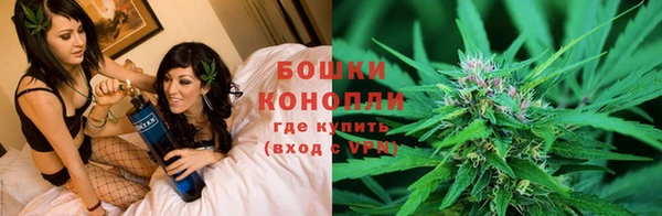гидра Алексин